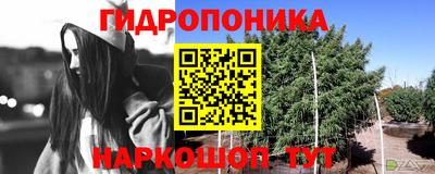 крисы Изобильный
