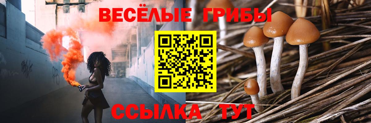 Псилоцибиновые грибы Magic Shrooms  Вход с VPN  Галлюциногенные грибы Psilocybine cubensis  Курчалой 